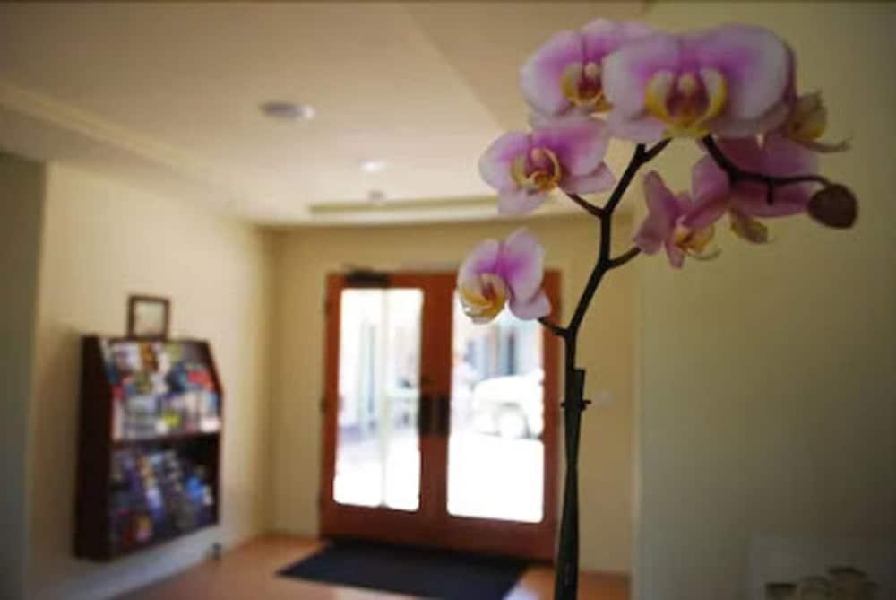 Bella Capri Inn And Suites 카마리오 외부 사진